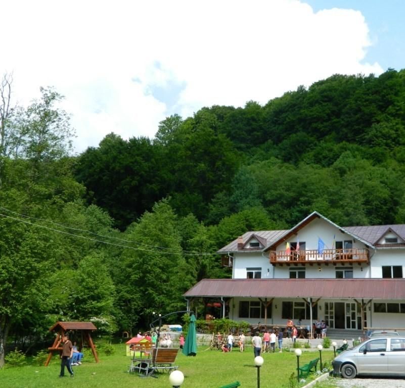 Гостевой дом Pension Valea Negrasului Trăisteni-17