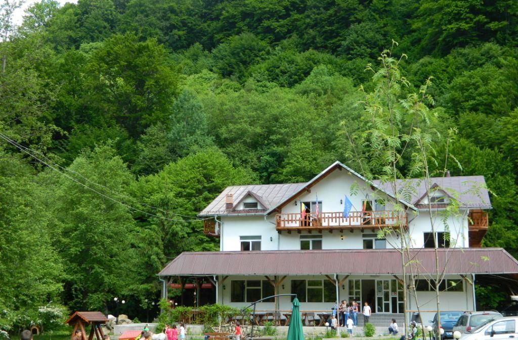 Гостевой дом Pension Valea Negrasului Trăisteni-18