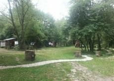 Гостевой дом Pension Valea Negrasului Trăisteni-36